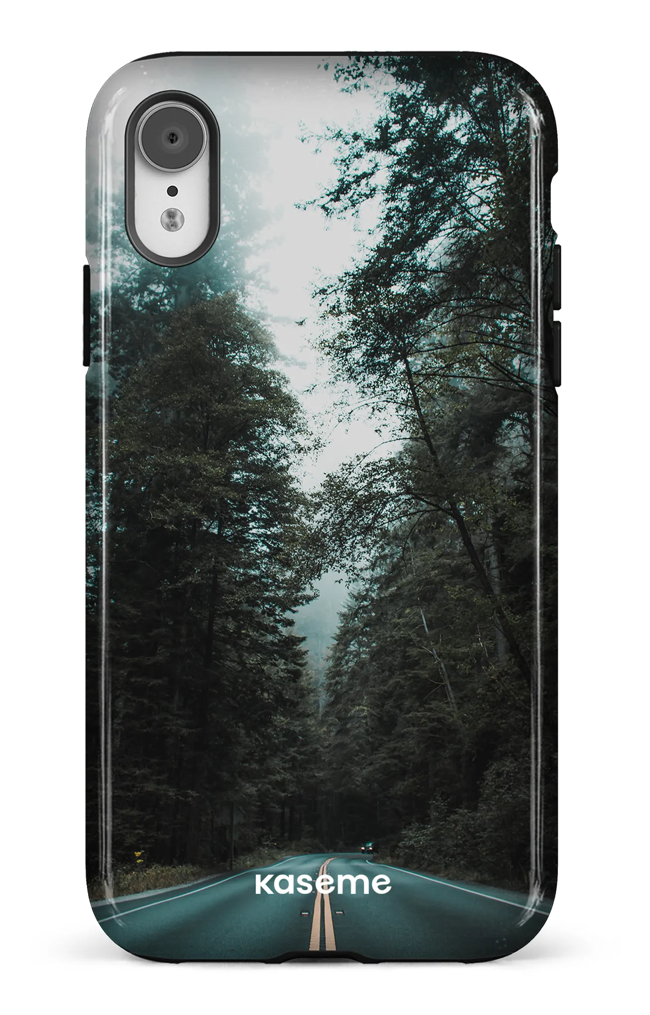 Sequoia