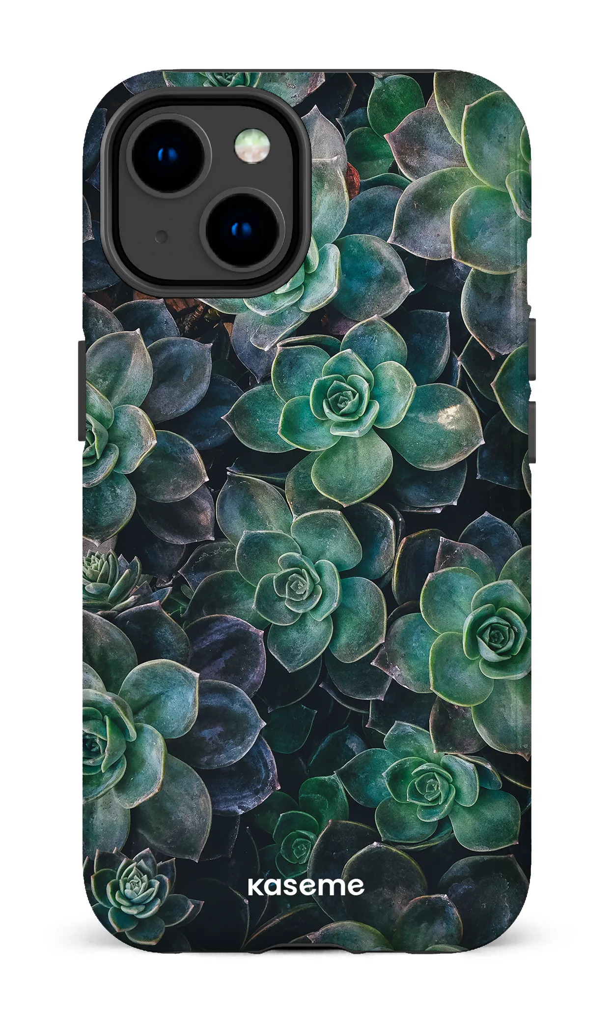 Succulente
