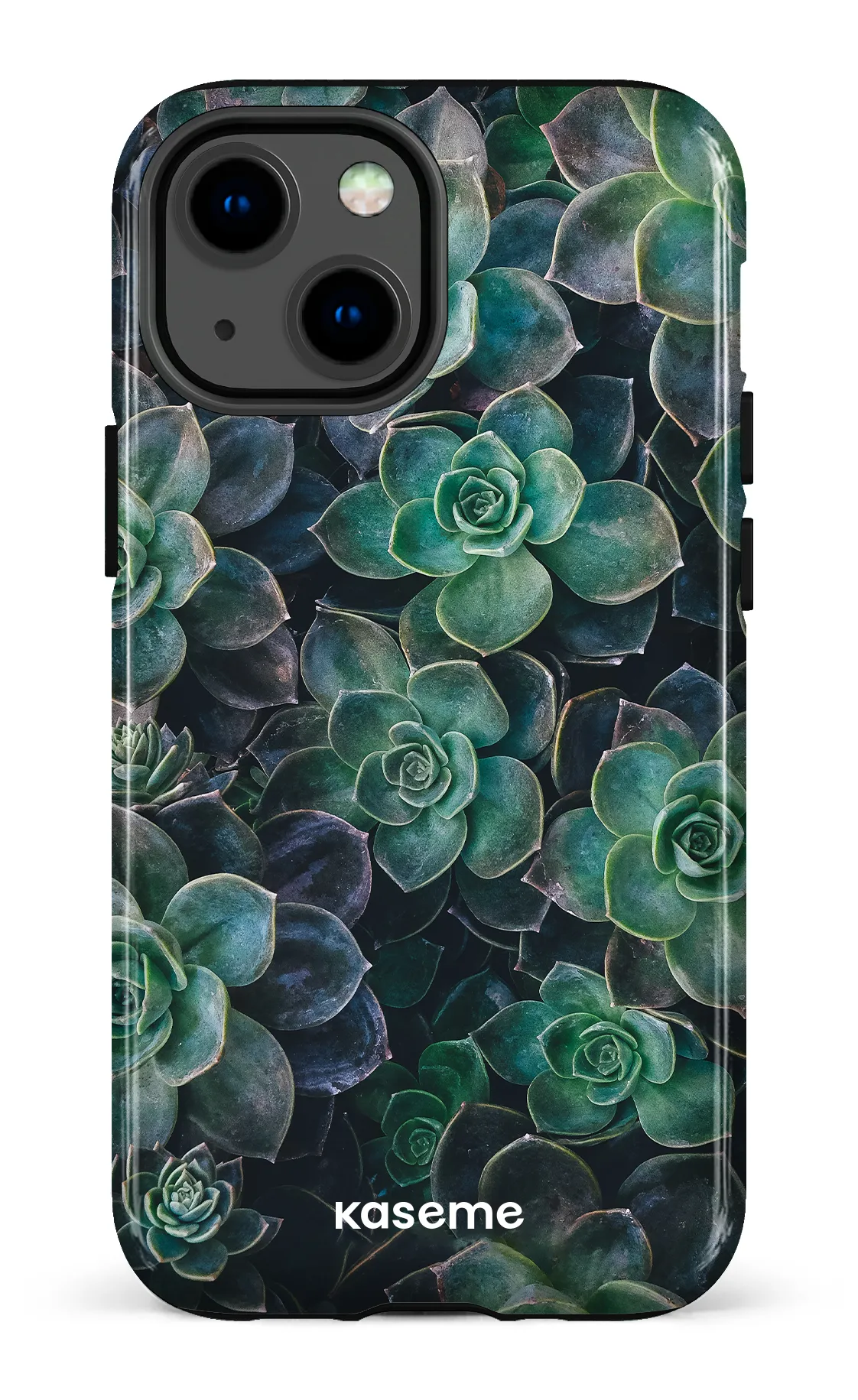 Succulente