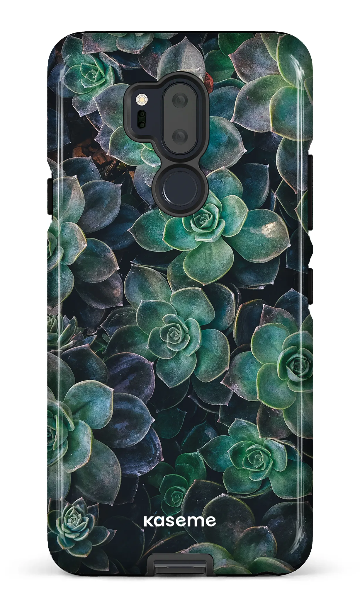 Succulente